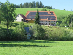 Cosy detached holiday home with terrace in the Black Forest